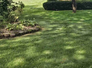 Janet F.'s lawn maintenance service result