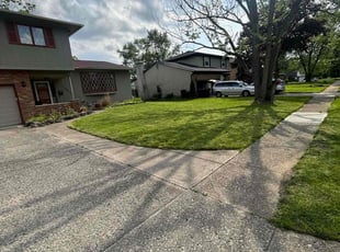 Princess N.'s grass maintenance service result