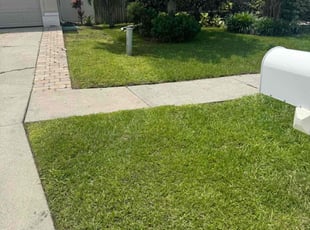 Gregory O.'s grass maintenance service result