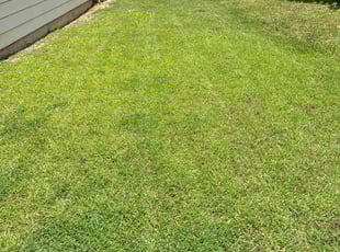 James M.'s turf maintenance service result