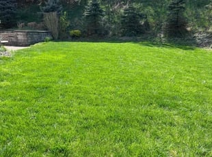 Mel T.'s lawn maintenance service result