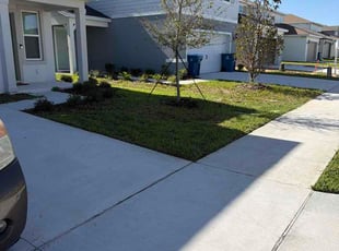 Norelie P.'s Cleanups service result