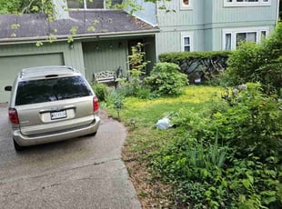 Tosha B.'s Bush Trimming service result