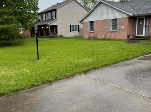 Vanessa L.'s lawn maintenance service result