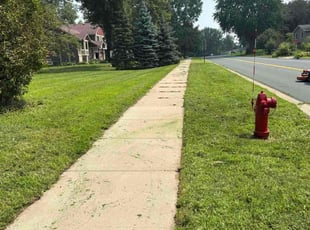 Carol C.'s turf maintenance service result