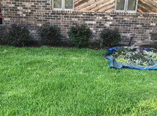 Theresa R.'s Bush Trimming service result