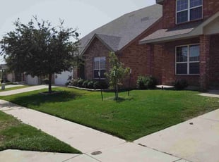 Wayne F.'s grass maintenance service result