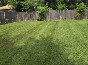 Megan J.'s grass maintenance service result