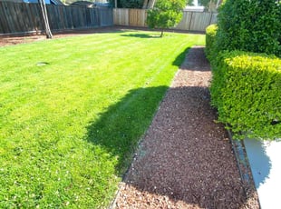 Ana C.'s lawn service service result