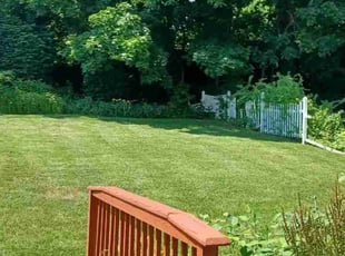 Sam P.'s lawn maintenance service result