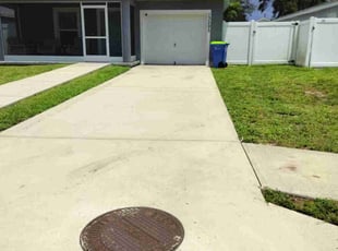 Whitney D.'s turf care service result