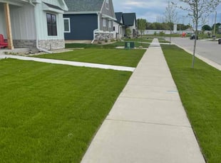 Yashu’A E.'s turf maintenance service result