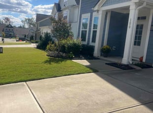 Richie T.'s turf care service result
