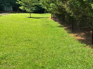 Janette B.'s turf maintenance service result