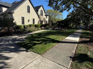 Lenslee H.'s lawn service service result