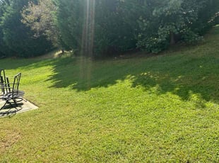 Leslie G.'s lawn care services service result