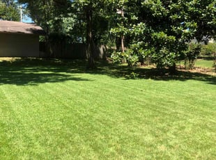 Mack R.'s grass maintenance service result