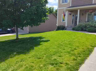 Marcela B.'s Long Grass Cleanup service result
