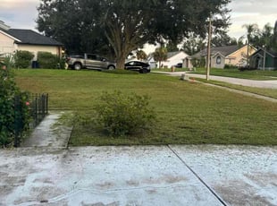 Erica S.'s lawn service service result