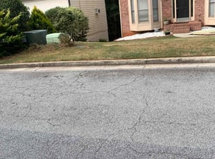 Daniel T.'s turf maintenance service result