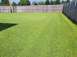 Michael K.'s grass maintenance service result