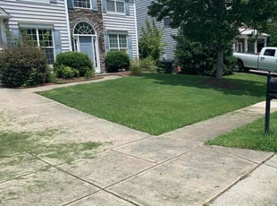 Angela W.'s lawn care service result