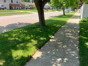 Janis R.'s grass maintenance service result