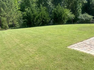 Kaylah W.'s lawn care services service result