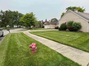 Kay H.'s turf maintenance service result