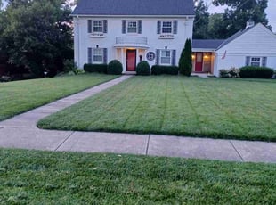 Chris B.'s lawn service service result