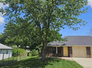 Joshua S.'s lawn service service result