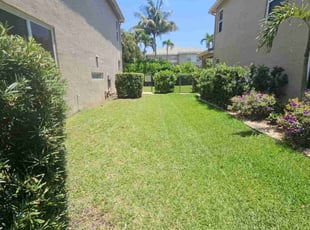 Philip P.'s lawn service service result