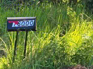 Jessica W.'s lawn service service result