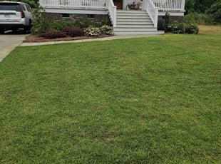 Thellezva K.'s lawn maintenance service result