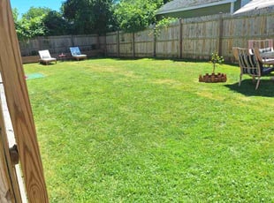 Douglas H.'s grass maintenance service result