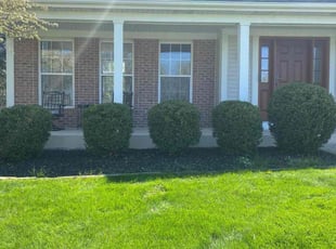 Brittney K.'s Bush Trimming service result