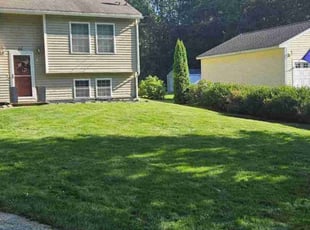 Leslie G.'s lawn care services service result