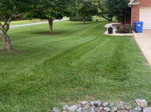 Alonzo S.'s grass maintenance service result