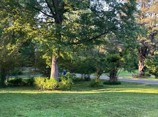 Edward S.'s lawn service service result