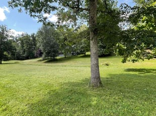 David W.'s lawn care service result