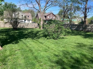Edward T.'s lawn care service result