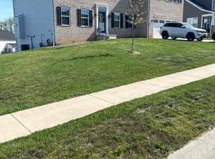 Philip D.'s grass cutting service result