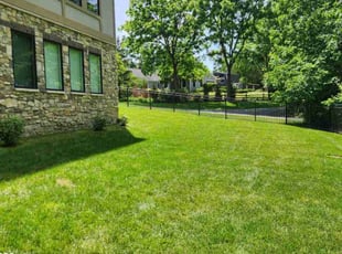 Don M.'s grass maintenance service result