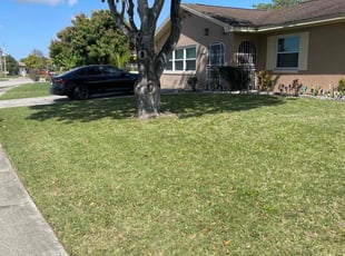 Jamie C.'s lawn service service result