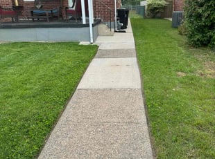 Jae L.'s grass cutting service result