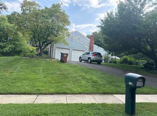Rocco P.'s lawn care service result