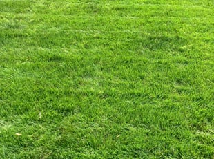 Justin A.'s lawn care services service result