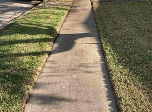 Kartik S.'s turf maintenance service result