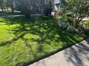 Martha W.'s lawn care services service result