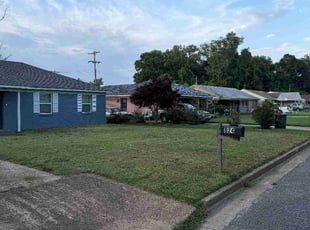 Alana N.'s lawn care service result